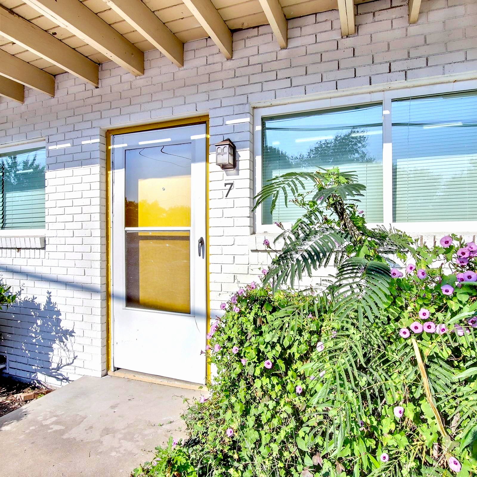 411 East Polk Street - 7